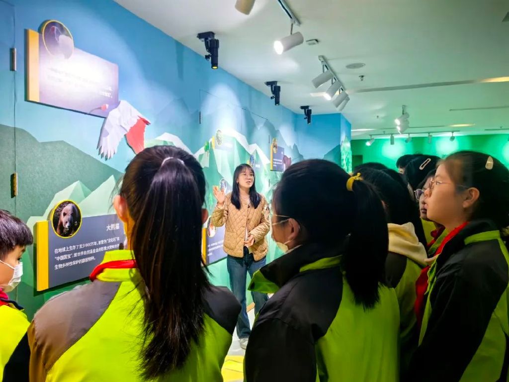 �����޷���حСѧ��̽�ء�Lewin�����ǻ۴��ԡ�